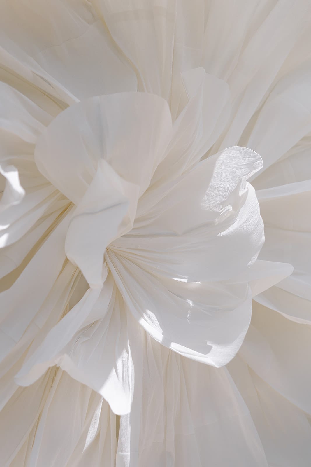 Giant Wedding Backdrop Flower 2