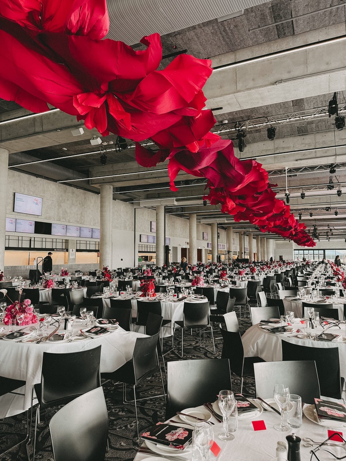 80m Ceiling Installation