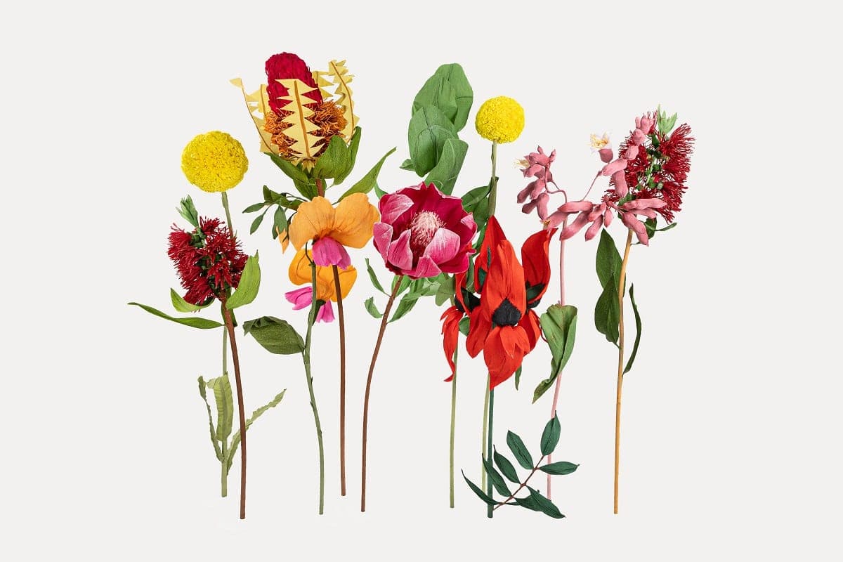 Australian Botanical Set