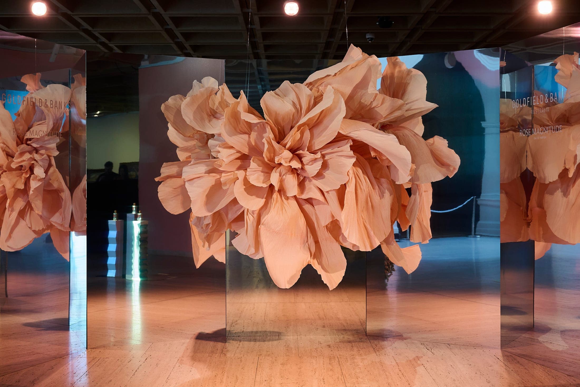 Goldfield Rose installation by ISTORIA