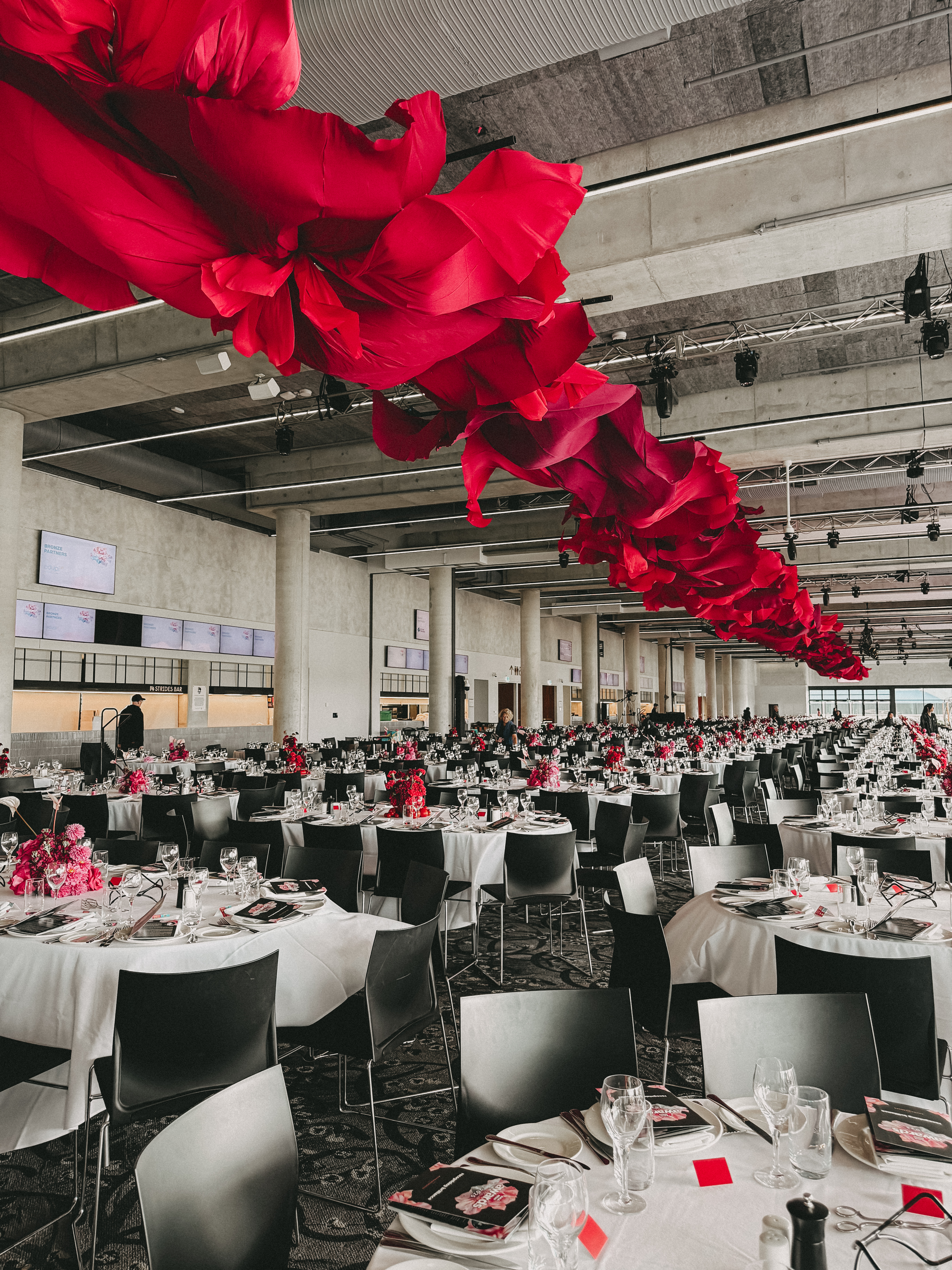 80m Ceiling Installation